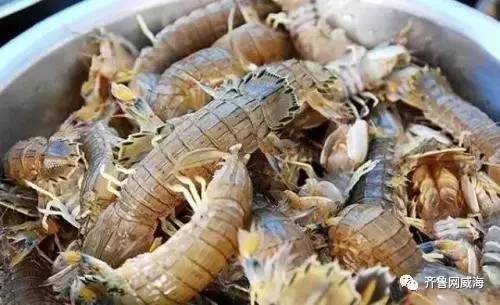 开海哪里的海鲜最便宜,威海开海适合买什么海鲜