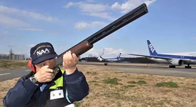 日本出事飞机竟与311大地震有关,日本航空ja350号班机坠毁事件