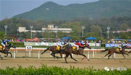 韩国2023公开赛冠军,韩国公开赛奖金