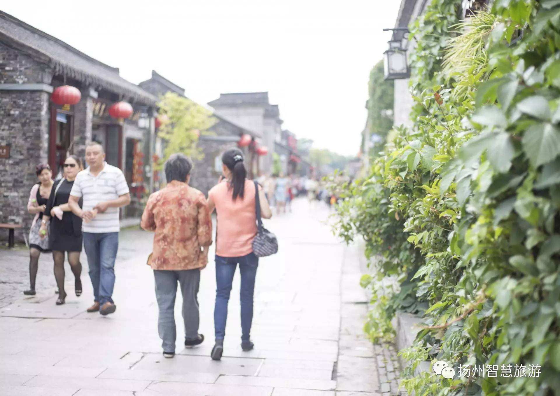 烟雨小巷人家,扬州烟雨蒙蒙小视频