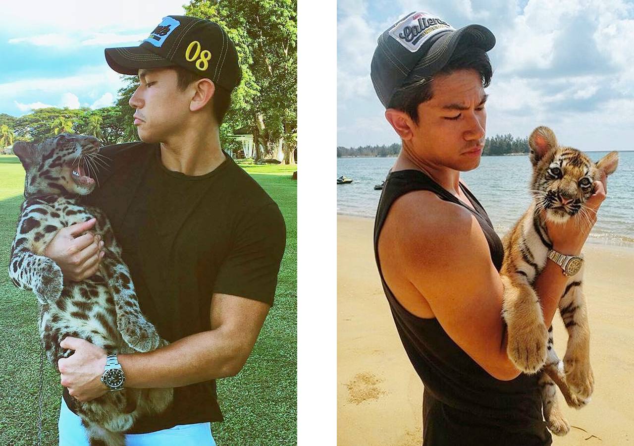 麻雀变成凤凰的人生,麻雀变凤凰普通版