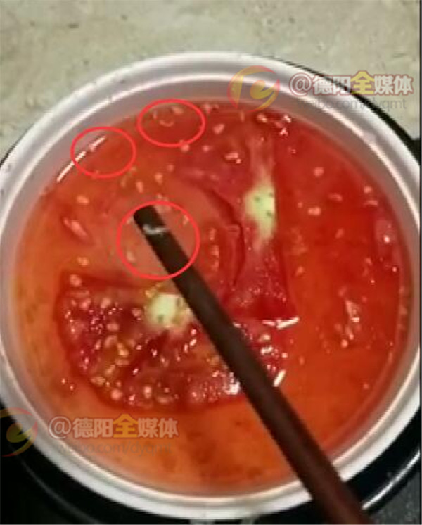 吃番茄不小心吃了里面的蛆,火龙果里面吃出蛆