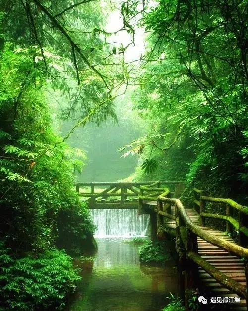 都江堰的伟大和奇妙之处 (都江堰精华部分图片)