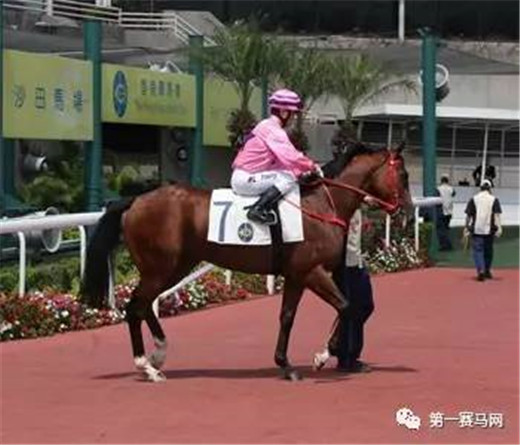 韩国2023公开赛冠军,韩国公开赛奖金