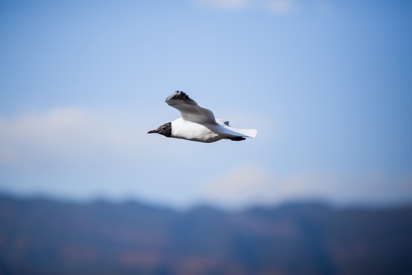 Hi,我是小可，我又回来了，产后第一次出行，娘子军奔赴女儿国