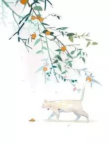 七夕自救指南，附神秘礼物~