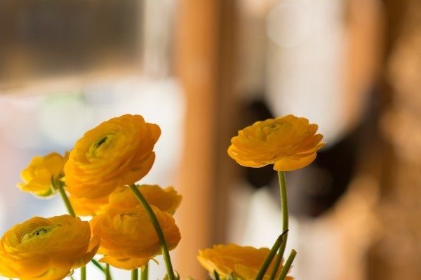 Hi,我是小可，我又回来了，产后第一次出行，娘子军奔赴女儿国