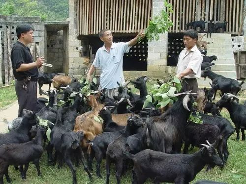 广西山清水秀小城,2020广西山清水秀自然景点