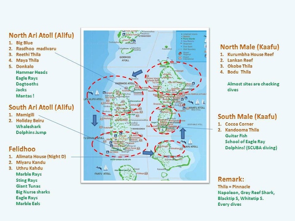 船宿潜水要什么水平,船宿潜水推荐