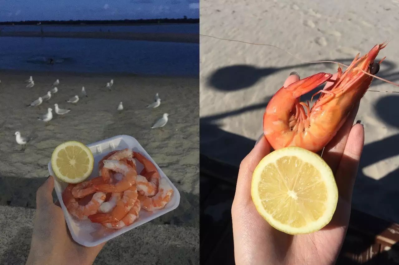 黄金海岸布里斯班旅游攻略,布里斯班黄金海岸