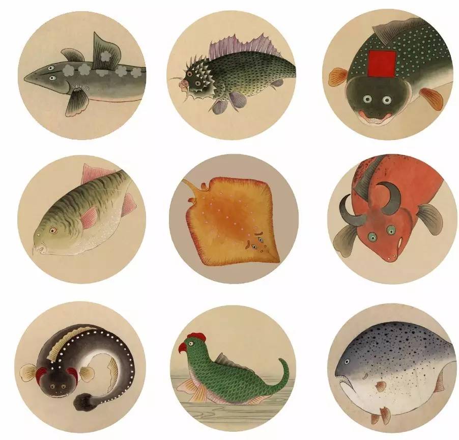 大千世界无奇不有这种鱼你见过吗,世界之大无奇不有鱼都会走路