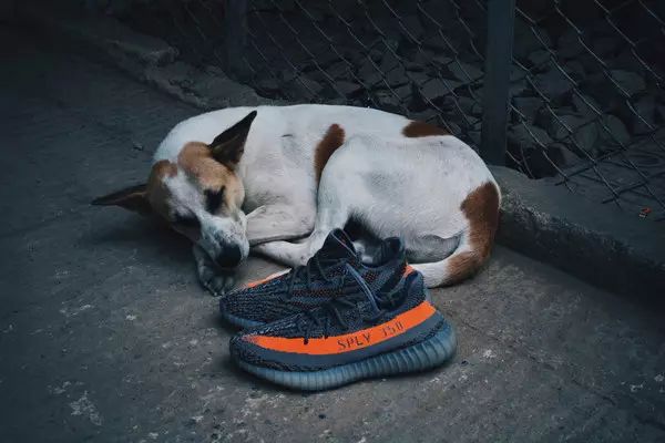 神仙水可以用来当防晒吗,用完神仙水直接用防晒隔离可以吗