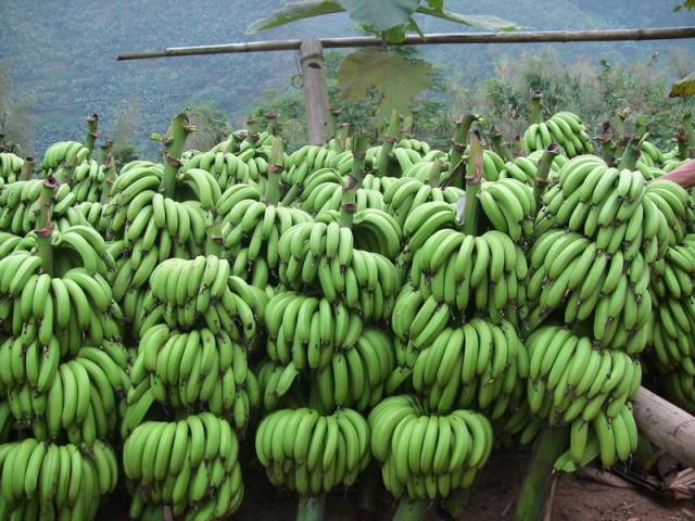 秋色正好邂逅大美河口,美丽的河口一日游