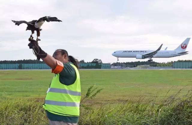 日本航空ja350号班机坠毁事件,日本航空jal123航班空难