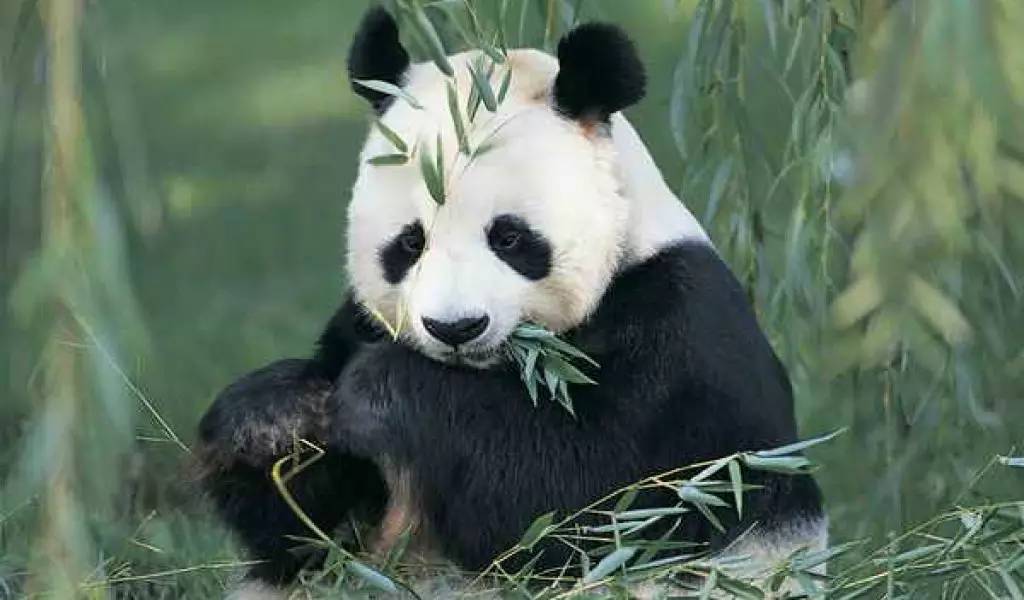 成都地铁10号线好久通,成都地铁18号线今天运行吗