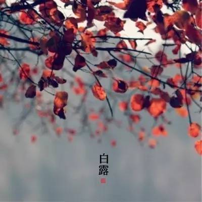 澶滆浜屽崄鍥涜妭姘斾箣鐧介湶,鐧介湶鑺傛皵鍏荤敓