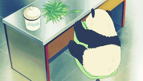 成都地铁10号线如何转5号线,成都地铁10号线3期的起点与终点