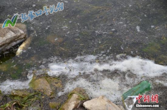 张家口新闻广播今日头条,张家口9月7日天气情况