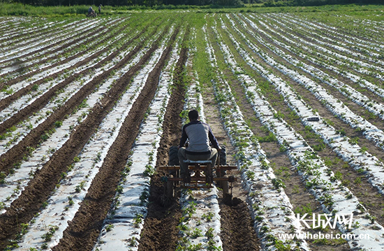 一路关怀一路情田向利在围场考察精准扶贫纪行