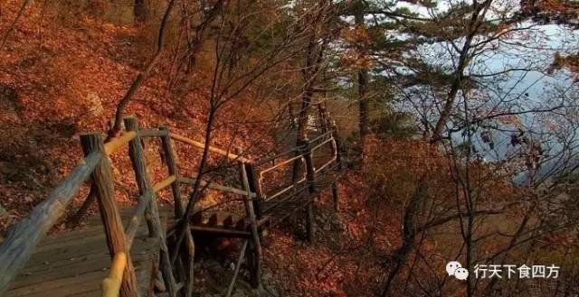 沈阳最美赏枫地最新开放,沈阳附近赏枫