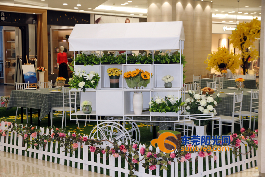 东莞海德壹号广场新开的展会,南城海德壹号广场