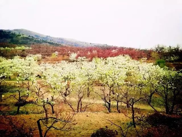 丰润景色好的地方,丰润景色最好的地方
