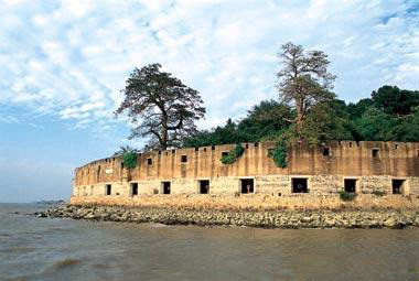 美丽的河口一日游,秋色正好邂逅大美河口