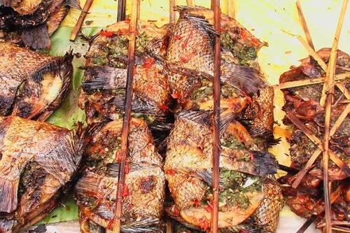 美丽的河口一日游,秋色正好邂逅大美河口