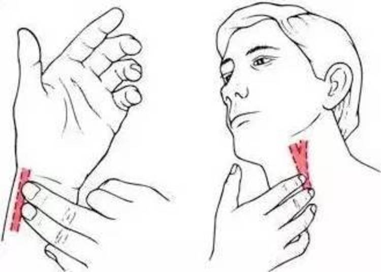 马拉松成为时尚了吗,马拉松跑步宝典