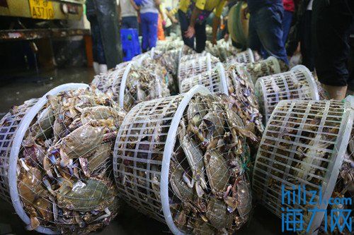 海鲜水产类市场,海鲜水产市场有哪些