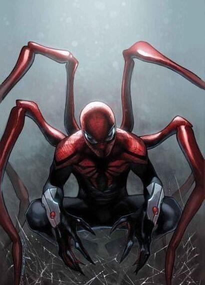 盘点最可爱的小蜘蛛,你见过这样呆萌可爱的小蜘蛛吗