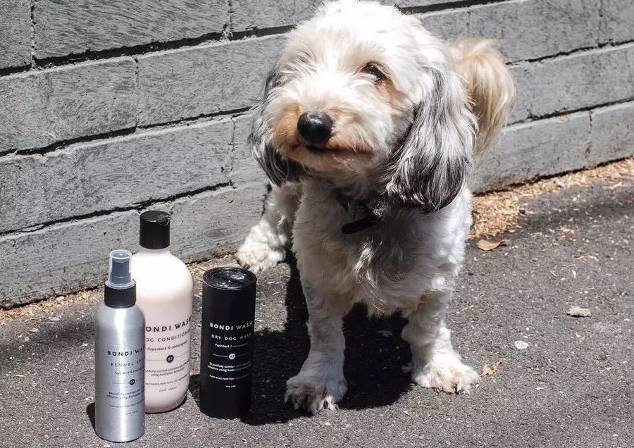 澳洲居家清洁用品,澳洲杀菌清洁用品