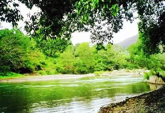 美丽的河口一日游,秋色正好邂逅大美河口