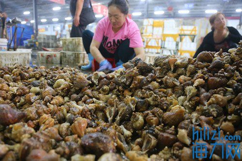 水产批发市场都有哪些海鲜,开渔首日最新视频