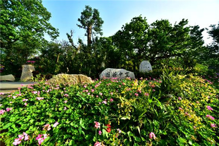 南宁绿城全国第一,南宁为什么叫绿城