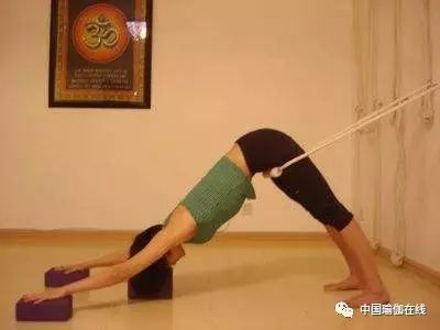 生理期下犬式瑜伽体式,瑜伽鸽子式经期可以练吗