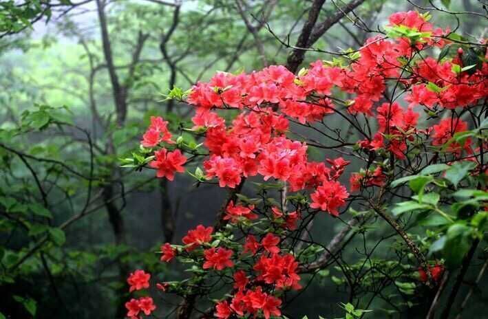 走近你就走进了痛苦出自哪里,走近你就是走近痛苦