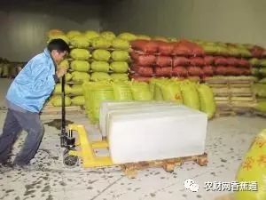 广西蕉的种类有多少,广西蕉跟云南蕉有什么区别