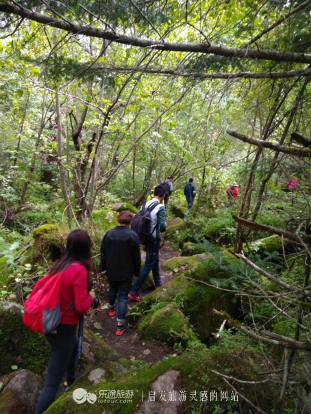 镜泊湖火山口免费景点,镜泊湖火山口森林景区
