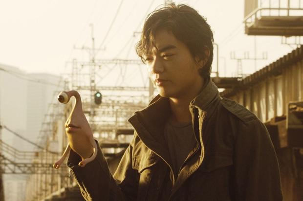 日本漫改电影推荐,日本漫改电影三十年