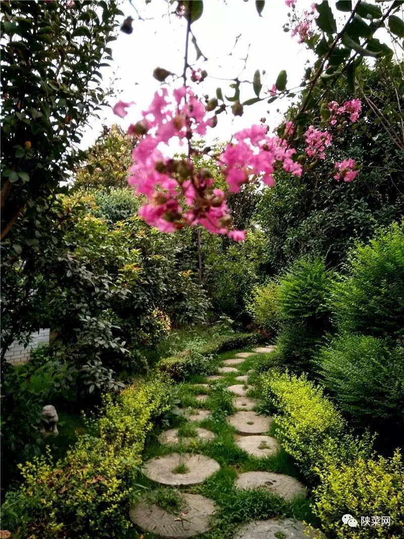 西安最好的陕菜在哪里,西安陕菜探店