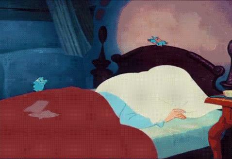 快点来！跟着AnnyFan在纽约边看秀边逛街