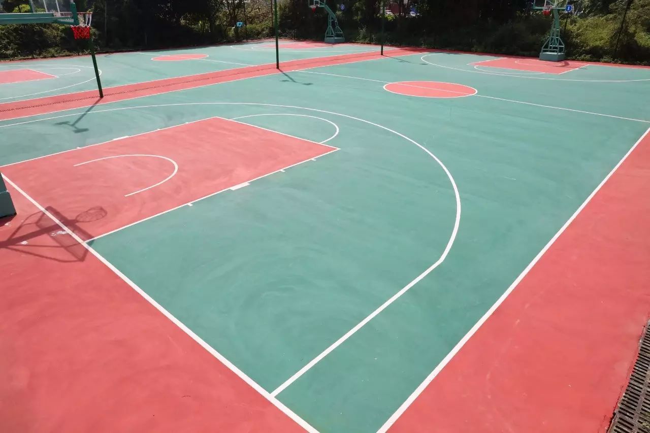 塘厦科苑东体育公园,塘厦体育公园