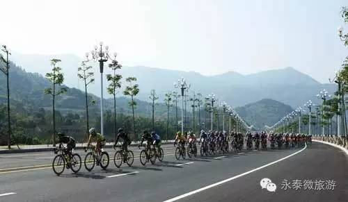 厉害了我区多家企业获省级殊荣,厉害了巢湖这个单位获国字号荣誉