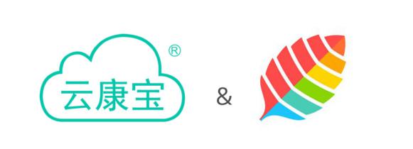 薄荷秤和云康宝秤,云康宝体脂秤连接手机