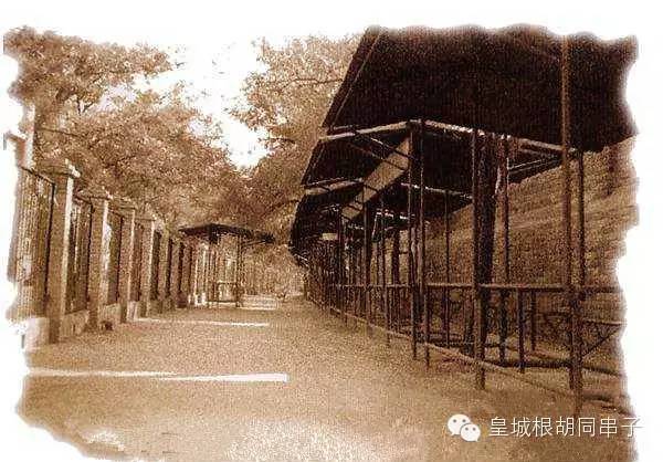 红桥市场都有什么,你还记得老红桥市场吗