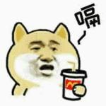 把Mall里的餐厅一次都吃遍，做梦吧？不是！