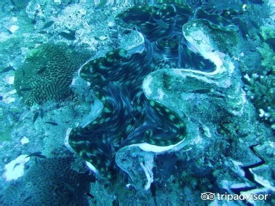 除了吉隆坡，13个马来西亚必去目的地，每个都值得一去！