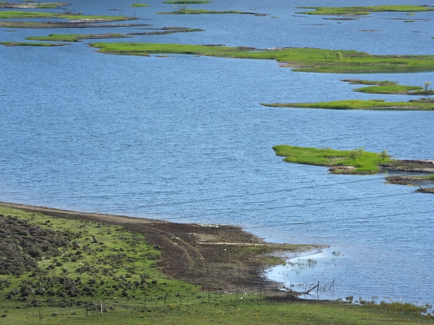 泸亚东线沿途风景,泸亚线穿越原始森林
