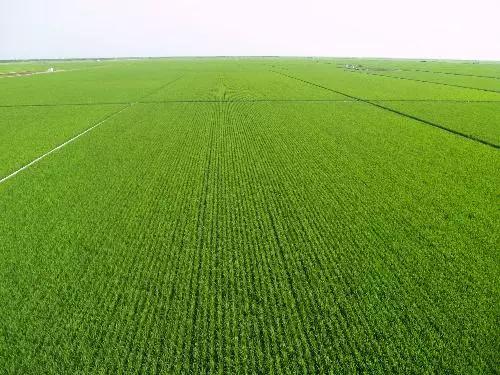 东北五花山旅游,五花山风景区